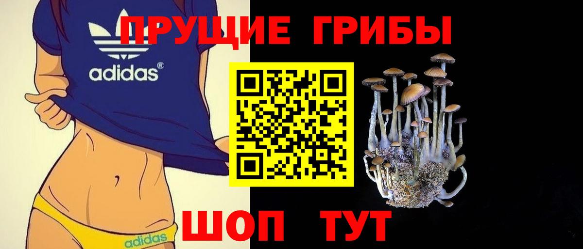 Псилоцибиновые грибы ЛСД  Вход с VPN  Узловая 
